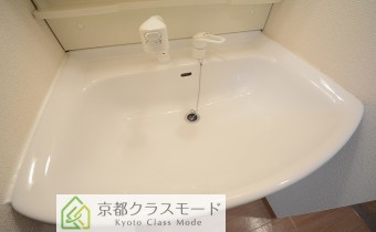 シャンプードレッサー