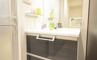 シャンプードレッサー