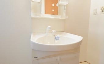 シャンプードレッサー