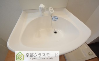 シャンプードレッサー