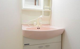 シャンプードレッサー