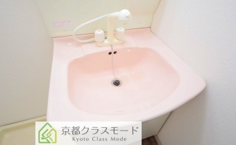 シャンプードレッサー