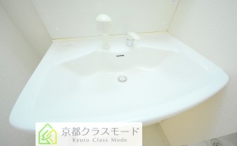 シャンプードレッサー