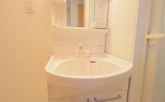 シャンプードレッサー