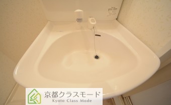 シャンプードレッサー