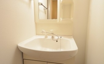 シャンプードレッサー