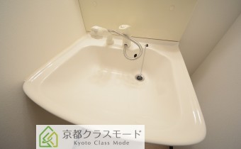 シャンプードレッサー