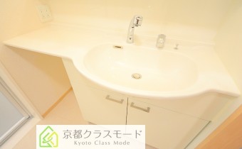 シャンプードレッサー