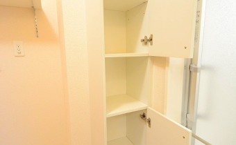 サニタリー収納