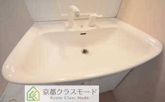 シャンプードレッサー