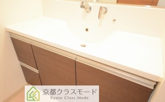 シャンプードレッサー