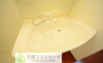 シャンプードレッサー