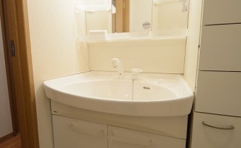 シャンプードレッサー