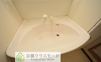 シャンプードレッサー