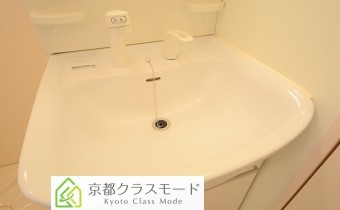 シャンプードレッサー