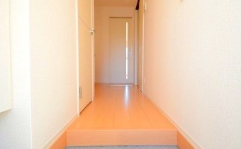 玄関※同ハイツ別タイプの写真です