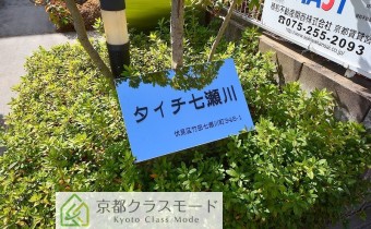 エンブレム