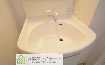 シャンプードレッサー