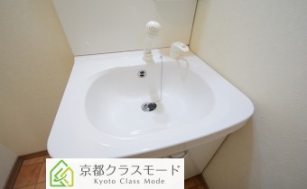 シャンプードレッサー