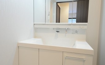 シャンプードレッサー