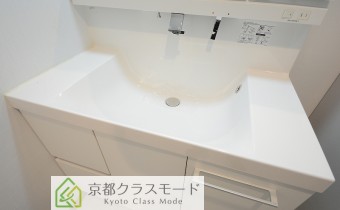 シャンプードレッサー