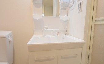 シャンプードレッサー