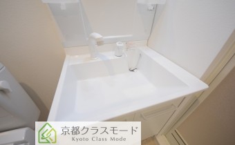 シャンプードレッサー