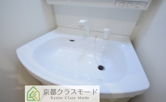 シャンプードレッサー