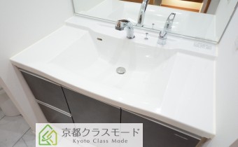 シャンプードレッサー