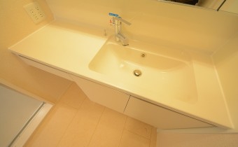 シャンプードレッサー