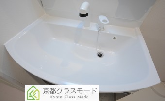 シャンプードレッサー