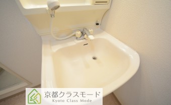 シャンプードレッサー