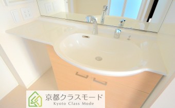 シャンプードレッサー