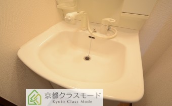 シャンプードレッサー