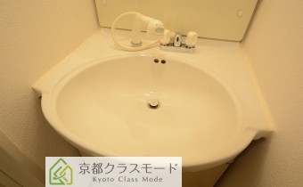 シャンプードレッサー