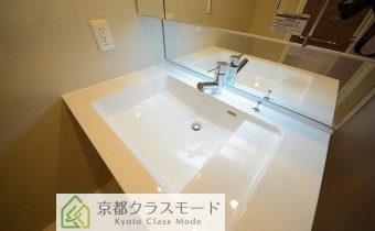 シャンプードレッサータイプ