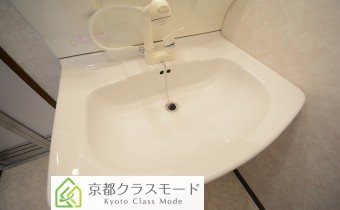 シャンプードレッサー