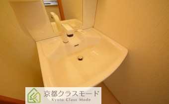 シャンプードレッサー