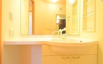 シャンプードレッサー　※室内写真は同建物内・別タイプのお部屋になります。