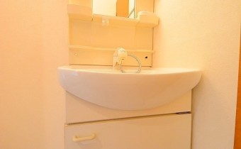 シャンプードレッサー