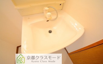 シャンプードレッサー