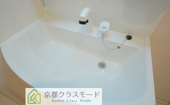シャンプードレッサー