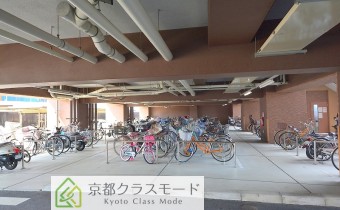 駐輪スペース
