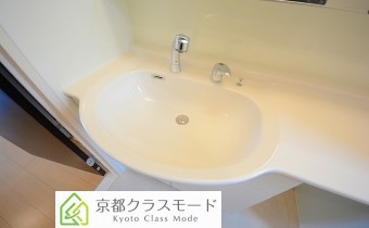シャンプードレッサー