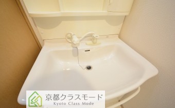 シャンプードレッサー
