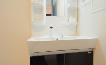 シャンプードレッサー
