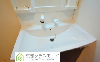 シャンプードレッサー