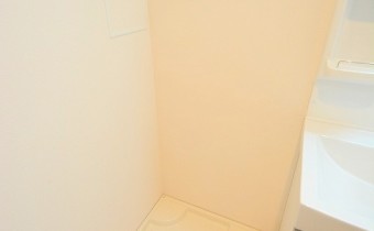 室内洗濯機置場