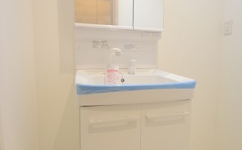 シャンプードレッサー