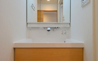 シャンプードレッサー